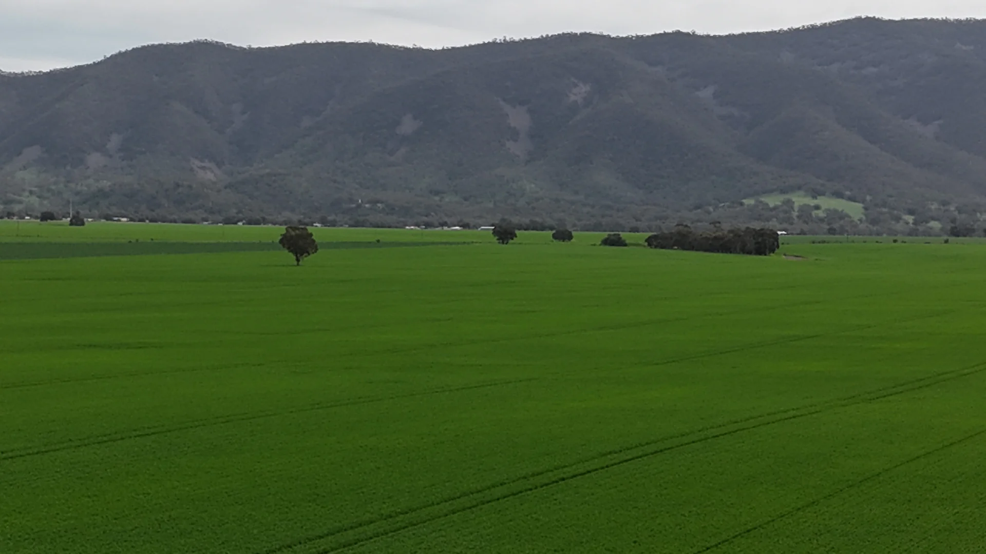 Additional image 2 of 172 Cowin Road, Melrose SA 5483