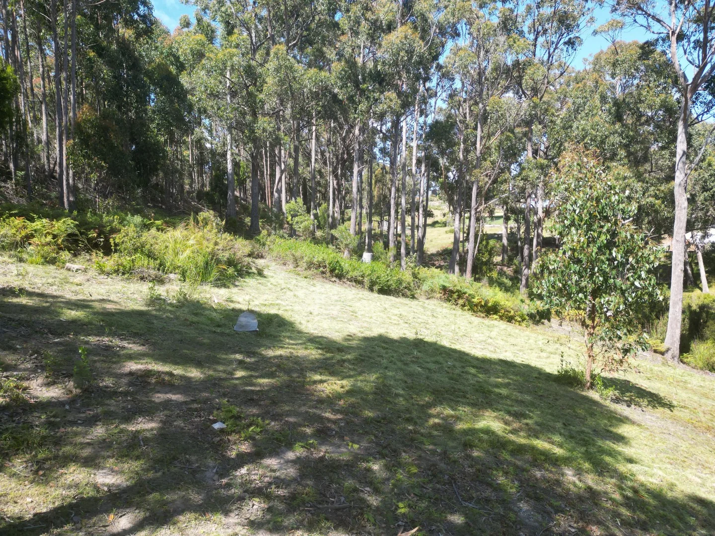 Additional image 7 of 1 Woodland Grove, Tugrah TAS 7310