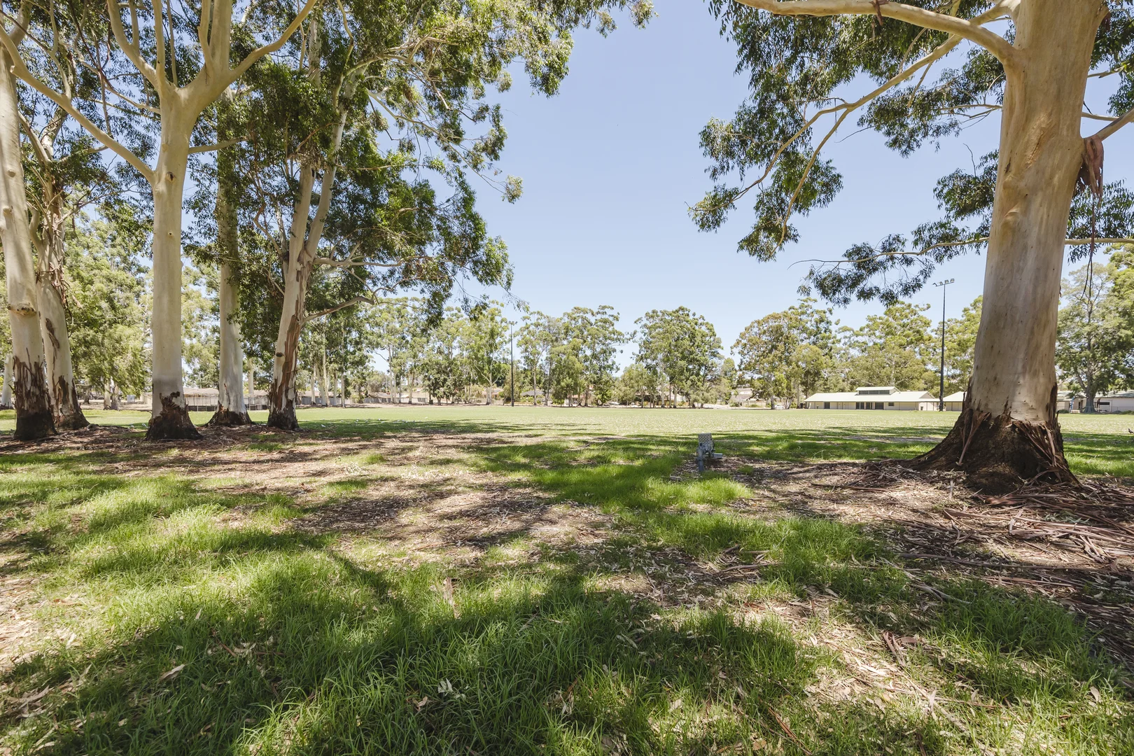 Additional image 2 of 21 Dellwood Lane, Ballajura WA 6066