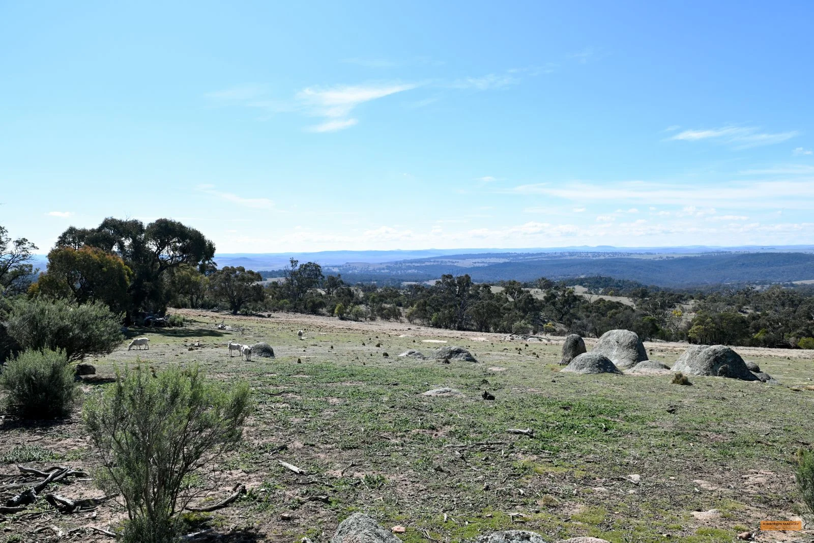 Additional image 26 of "The Top Paddock" Bairds Crossing Road, Dalgety NSW 2628