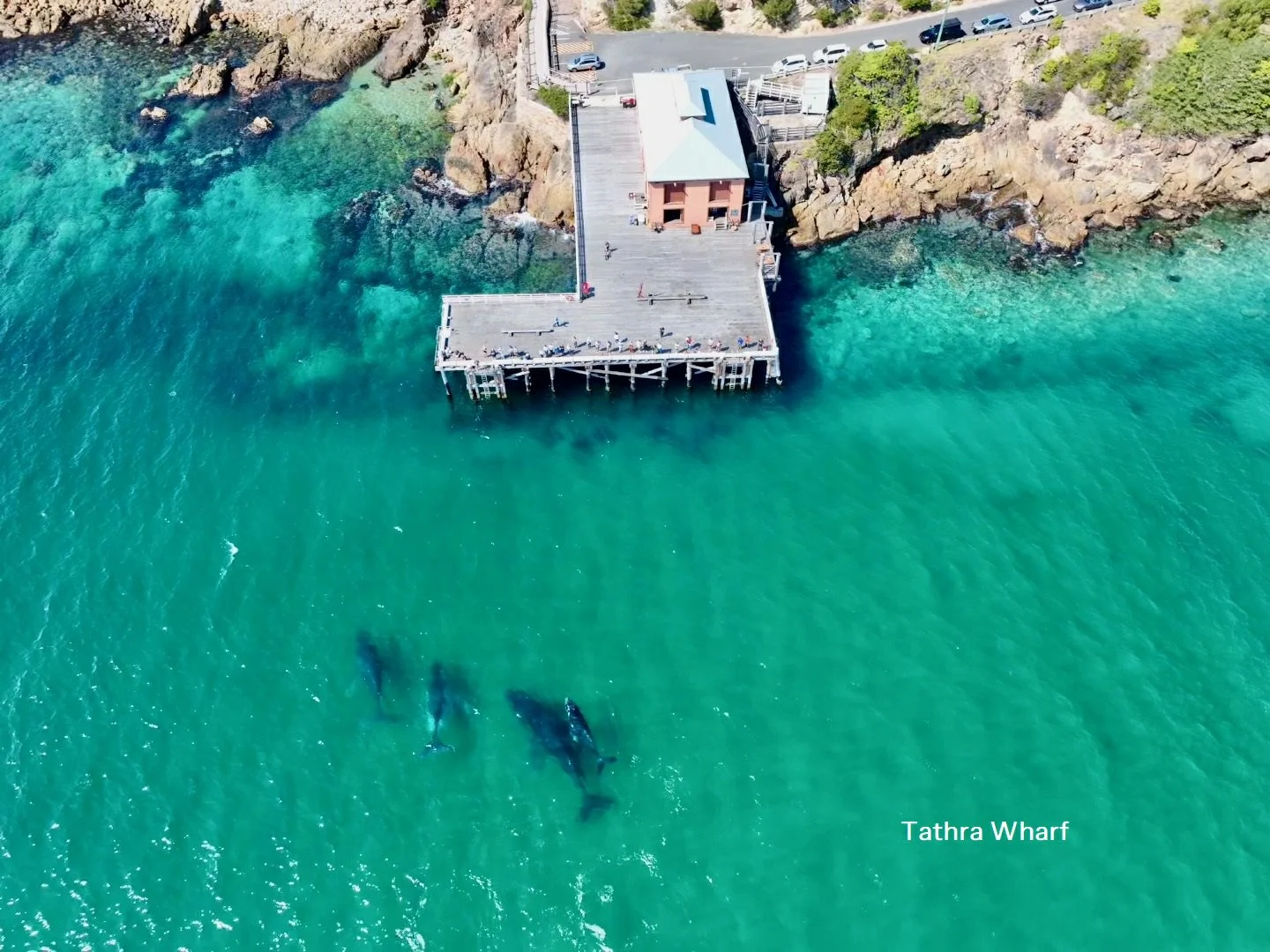 Additional image 11 of 30 Apple Berry Lane, Kalaru NSW 2550