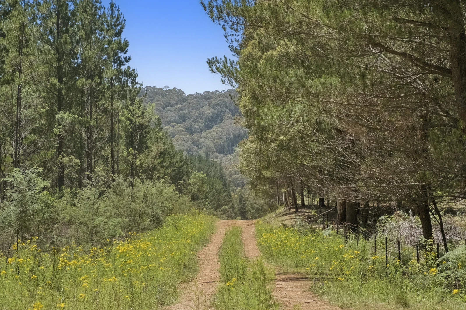 Additional image 4 of 321 Log Bridge Creek Road, Wee Jasper NSW 2582