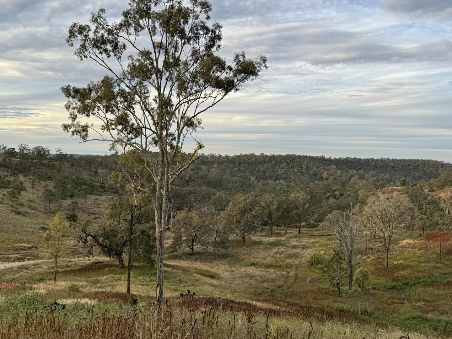 Additional image 24 of 231 Dascombe Road, Coalbank QLD 4352