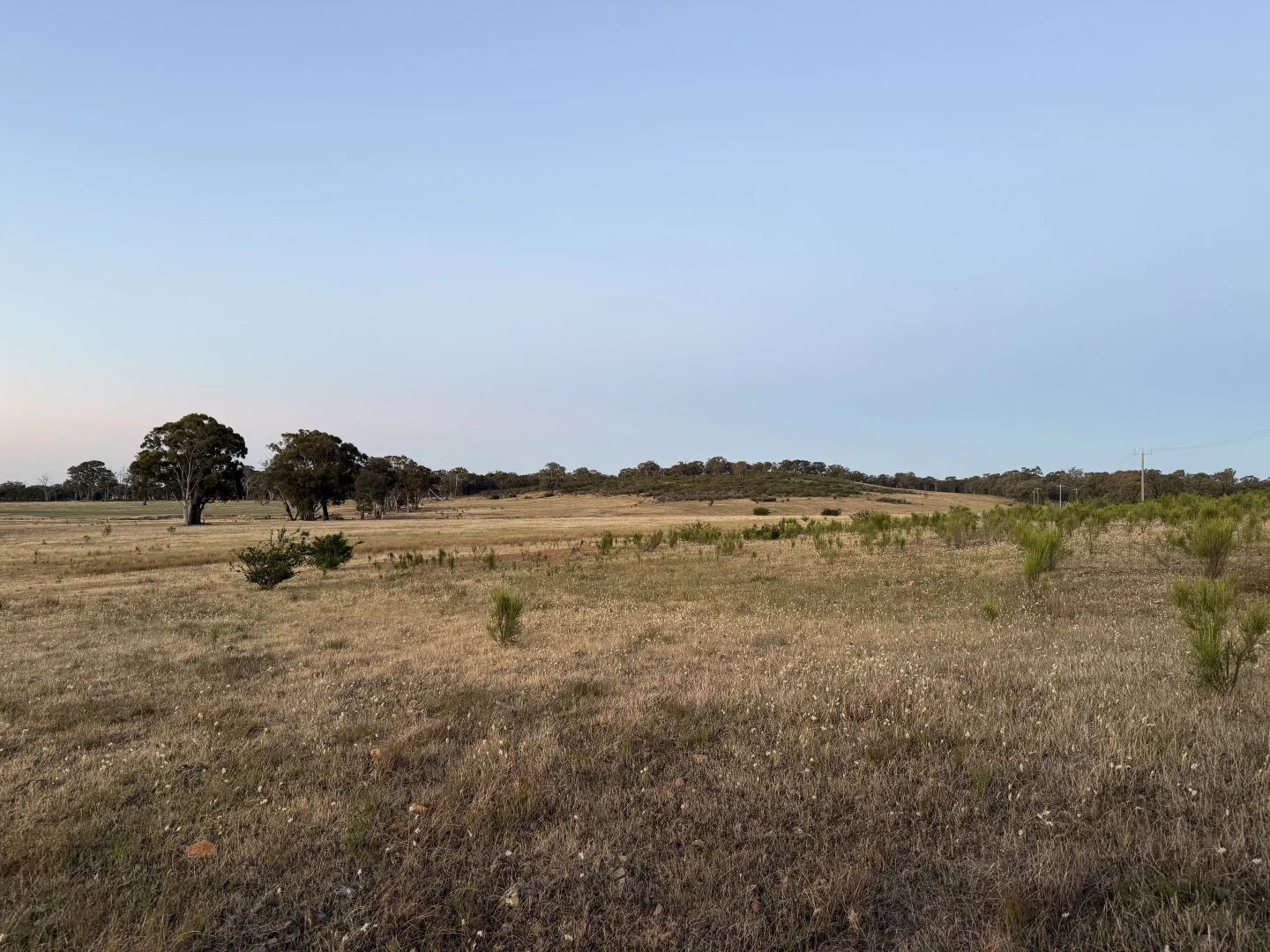 Additional image 7 of LOT 3 Part McDiarmids Road, Violet Town VIC 3669