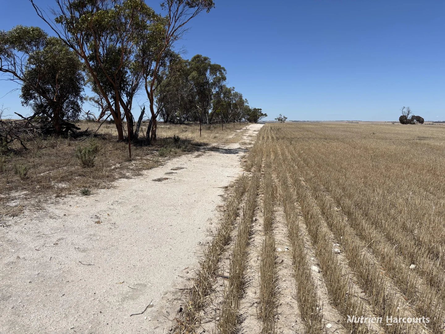 Additional image 6 of . 'Jurocken & Corrylyn', Dowerin WA 6461