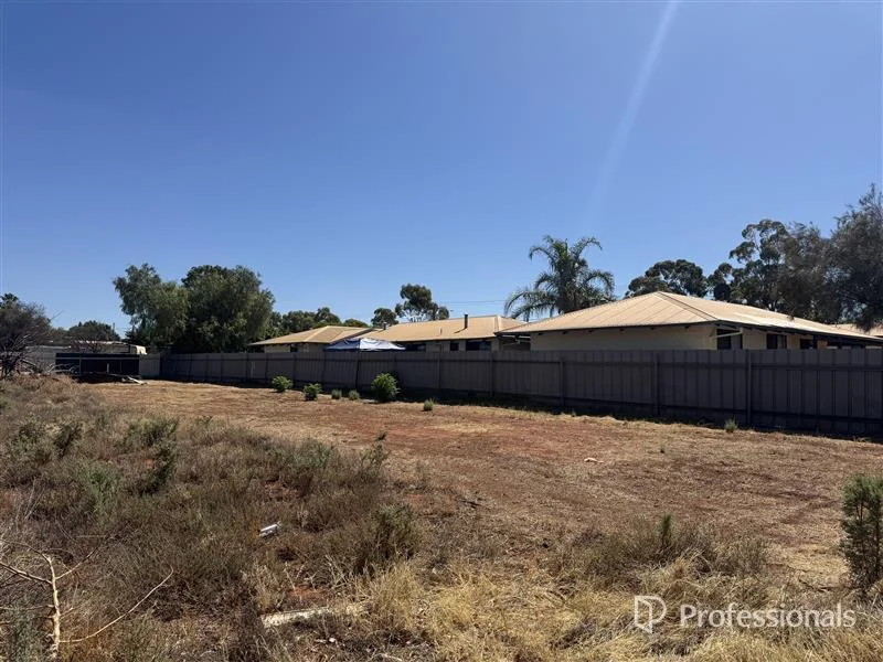 Additional image 3 of 105 Hopkins Street, South Boulder WA 6432