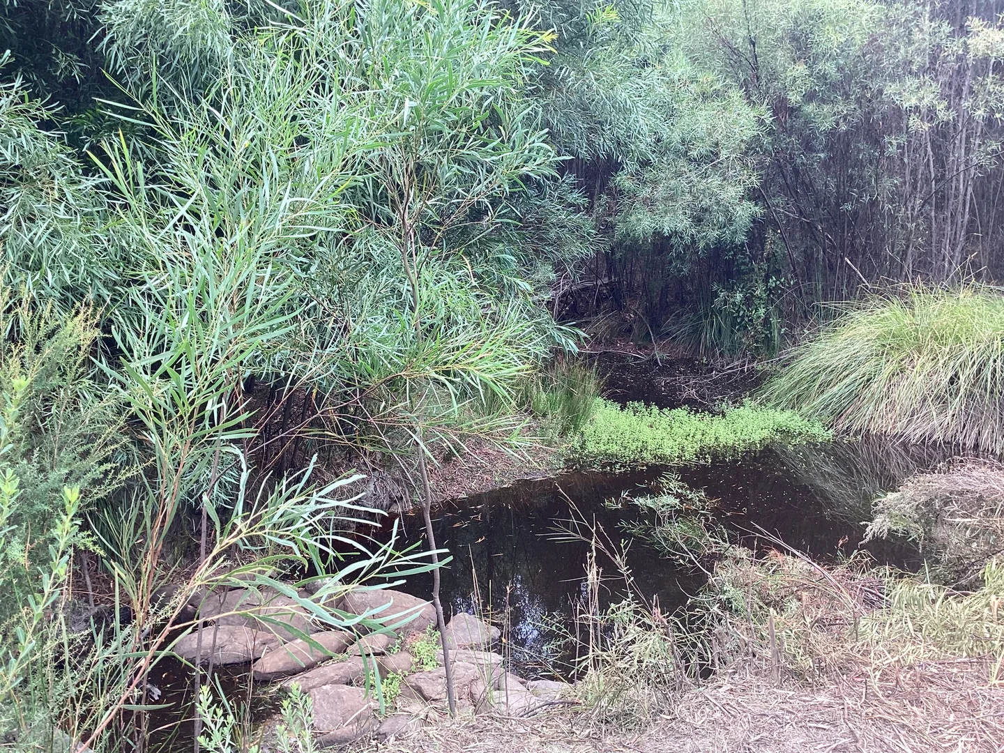 Additional image 38 of 157 Berrymans Road, Gosse SA 5223