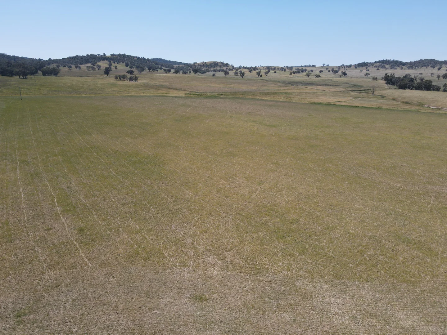 Additional image 21 of "Babynda" 829 Eulimore Road, Eugowra NSW 2806