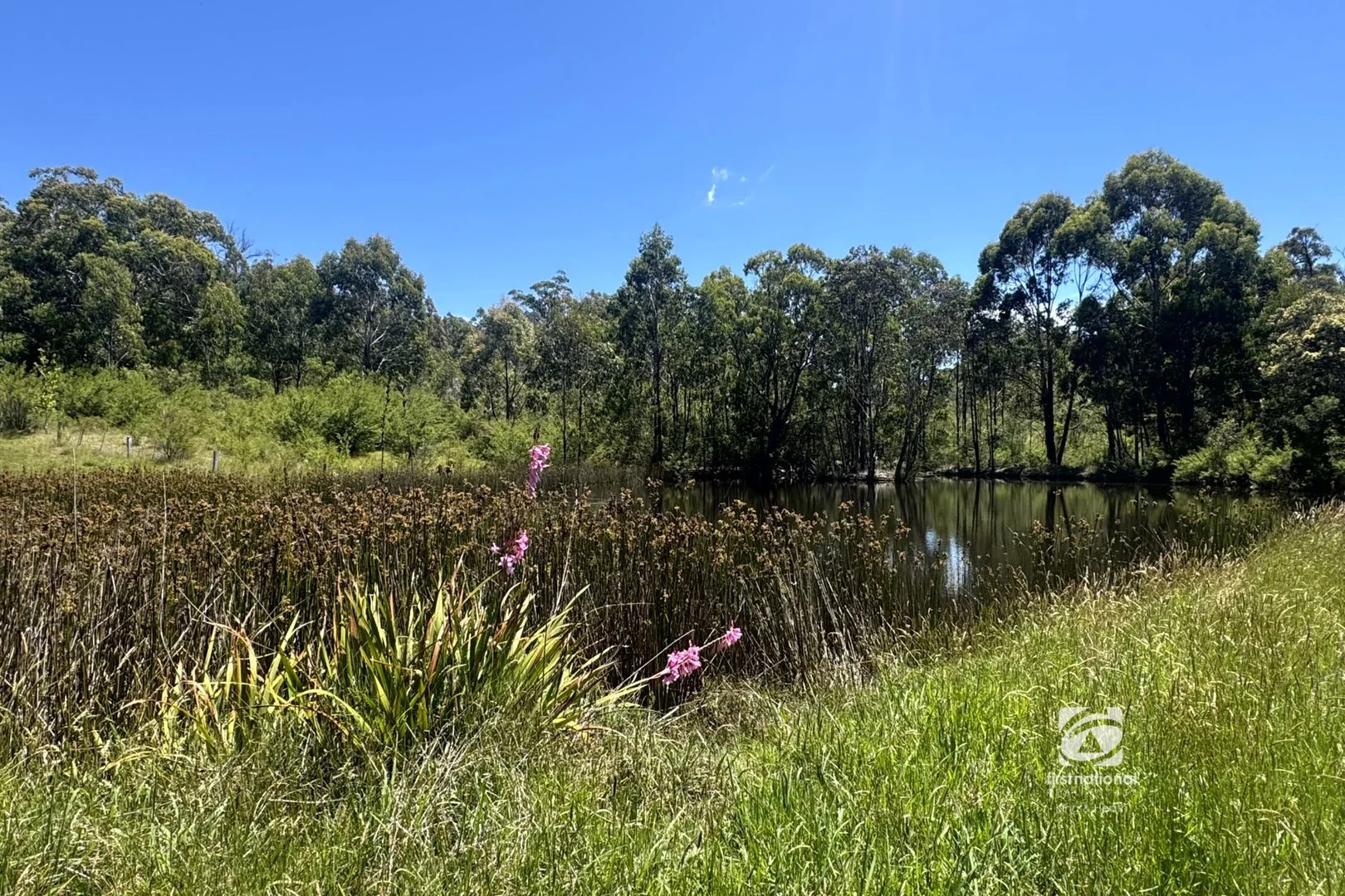 Additional image 6 of 139 Buchan South Road, Buchan South VIC 3885