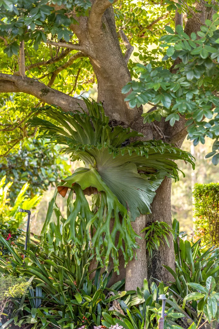 Additional image 21 of 155 Spicers Road, Rainbow Flat NSW 2430