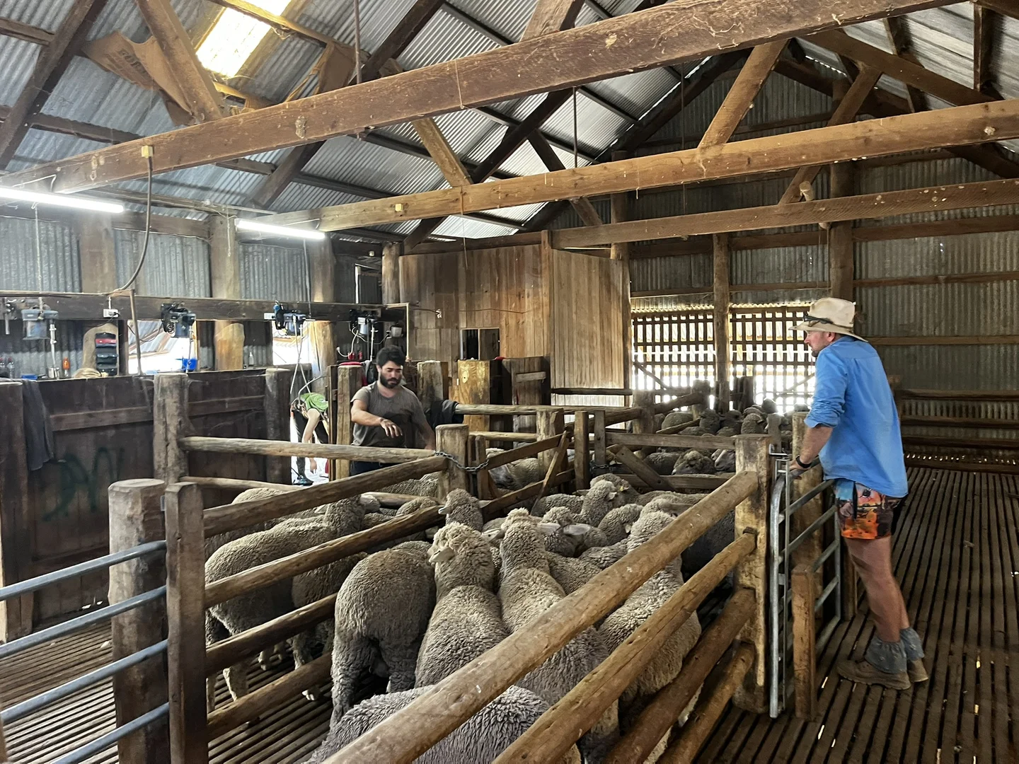 Additional image 18 of Address Via Request Road, Grenfell NSW 2810