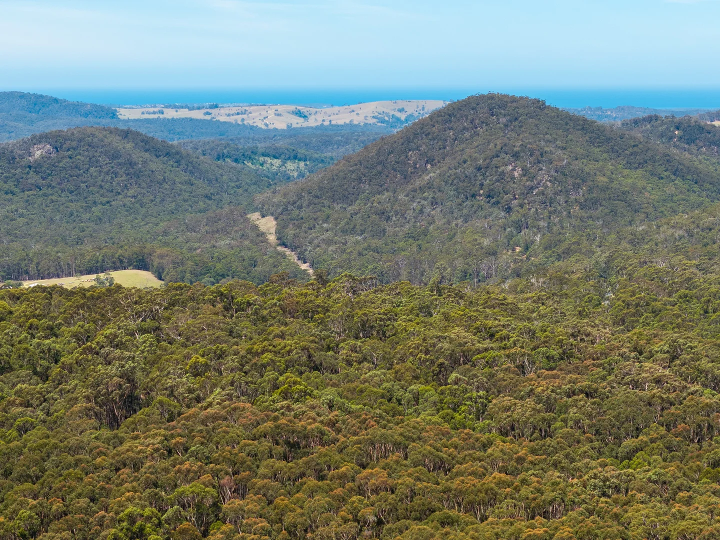 Additional image 8 of 1824 Mount Darragh Road, Wyndham NSW 2550