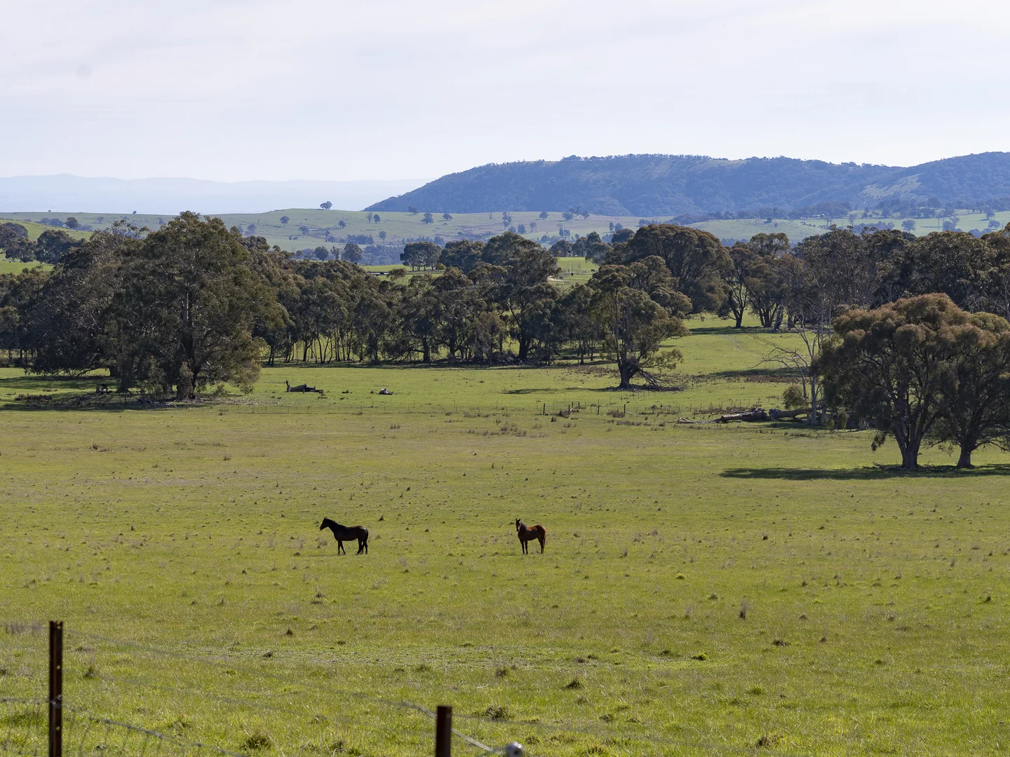 Additional image 35 of 180 Brigadoon Road, Highlands VIC 3660