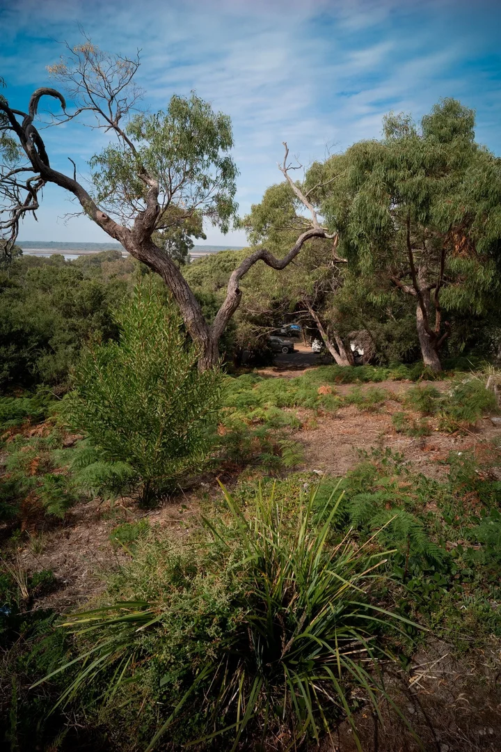 Additional image 3 of 139 Toorak Avenue, Loch Sport VIC 3851