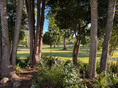 Additional image 10 of 195 Sherwood Road, Aldavilla NSW 2440