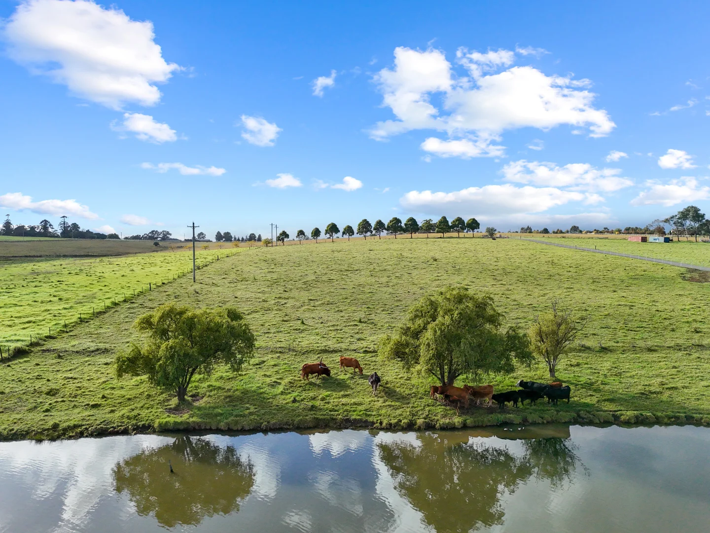 Additional image 46 of 95 Craigend Road, The Oaks NSW 2570