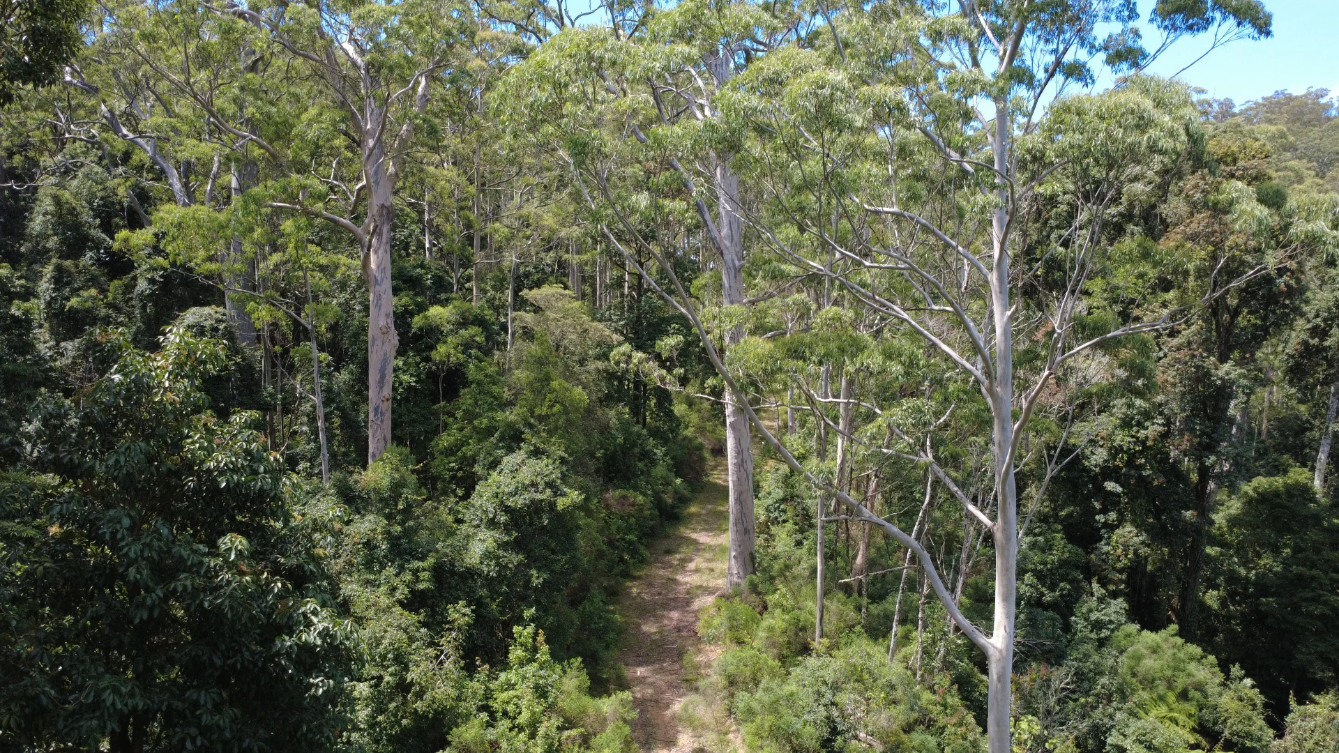 Additional image 11 of Baxters Ridge Road, Gloucester NSW 2422