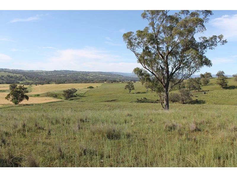 Additional image 4 of Golden Highway, Cassilis NSW 2329