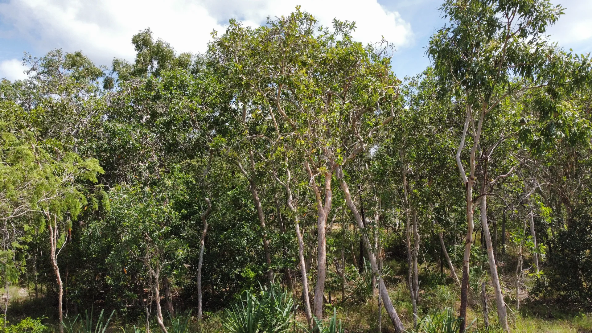Additional image 14 of Lot 30 Conder Pde ( Bangaru ), Laguna Quays QLD 4800