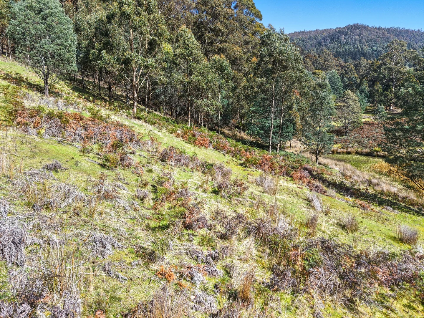 Additional image 6 of Lucaston TAS 7109