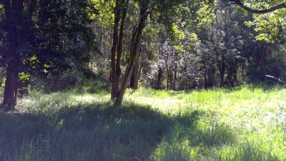 Additional image 10 of 622A Simpson Ridge Road, South Arm NSW 2449