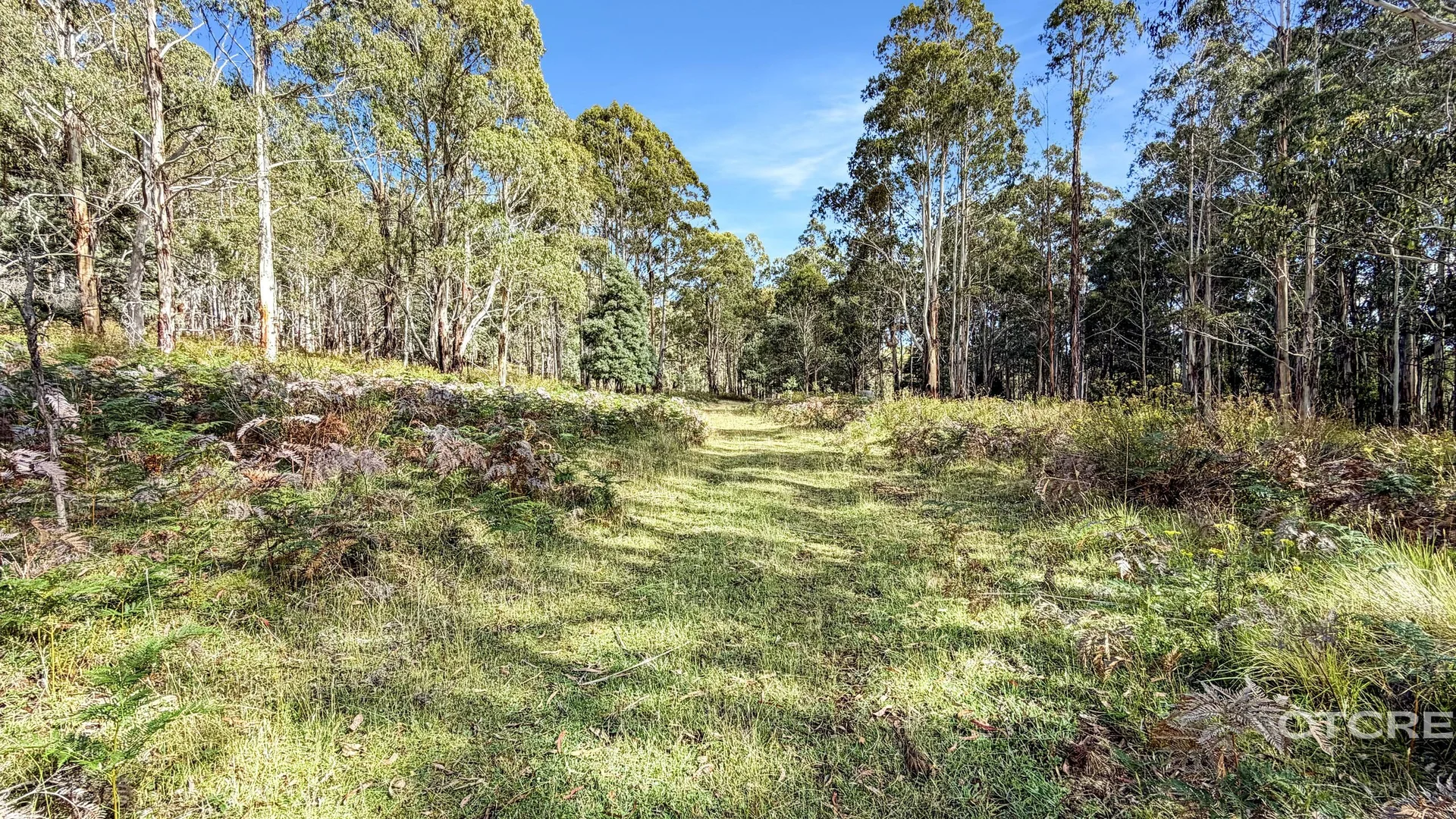 Additional image 8 of 12F & 12G Minchins Track, Bonang VIC 3888
