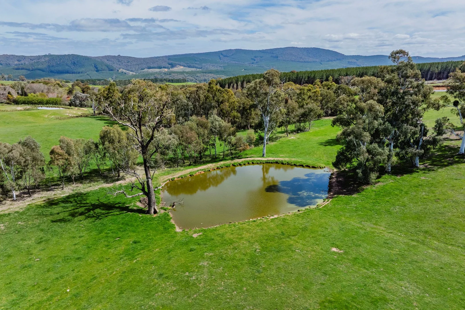 Additional image 16 of 2026 Jingellic Road, Tumbarumba NSW 2653