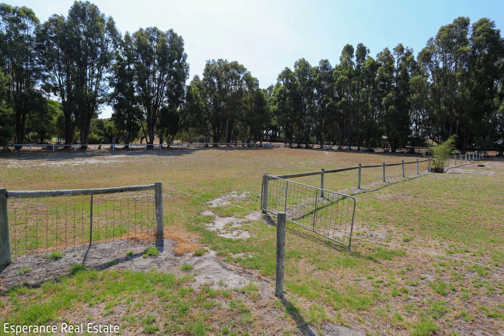 Additional image 36 of 49 Collier Road, Pink Lake WA 6450