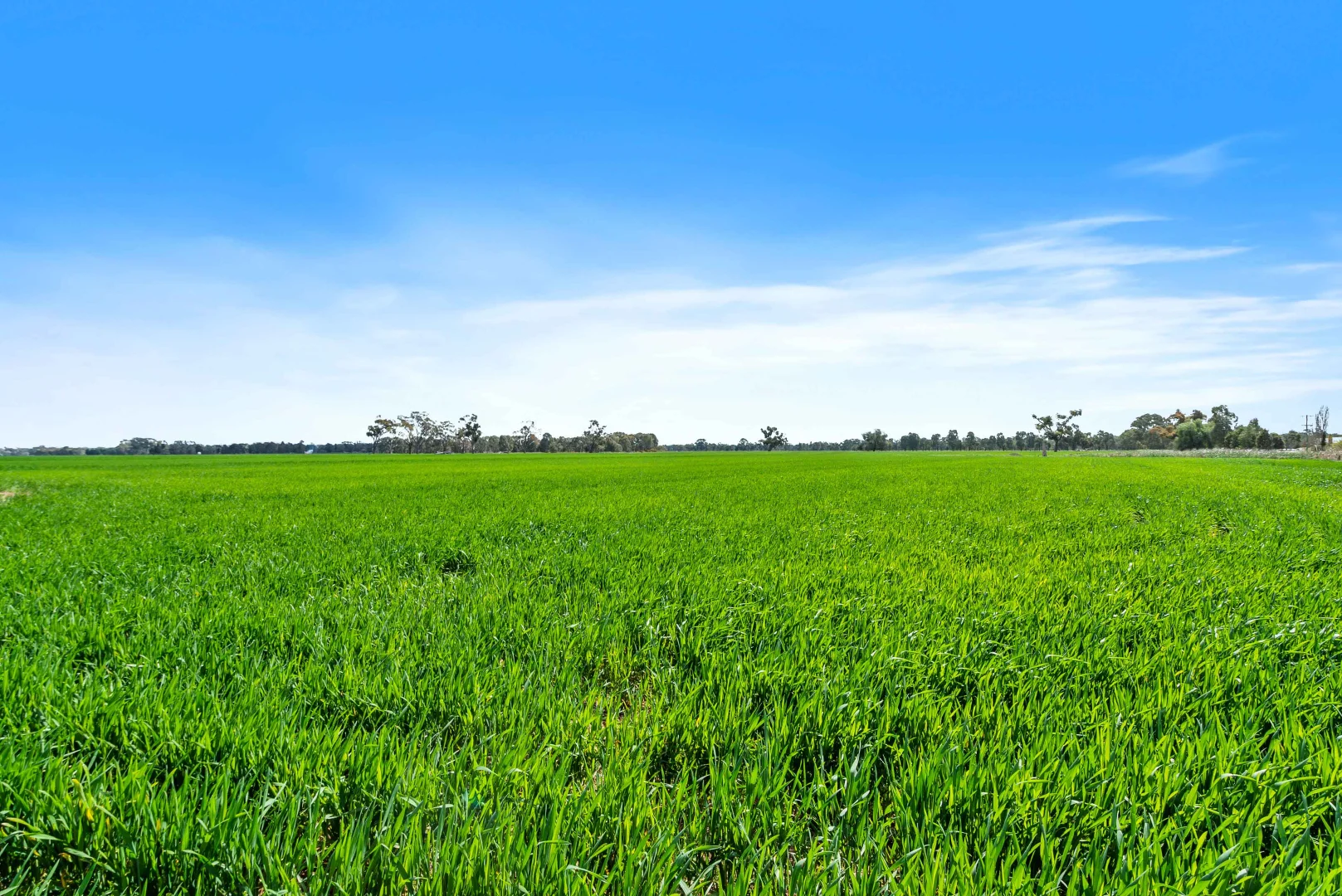 Additional image 9 of Pinewood, 870 Walshs Bridge Road, Kaarimba VIC 3635