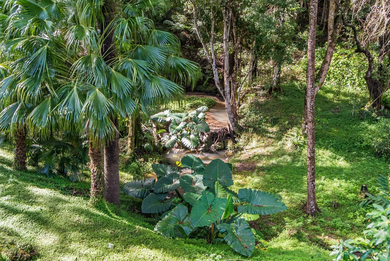 Additional image 3 of 126 Harwood Road, Burringbar NSW 2483