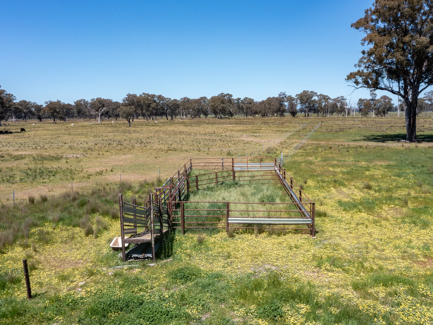 Additional image 9 of 377 Laceby-Targoora Road, Laceby VIC 3678