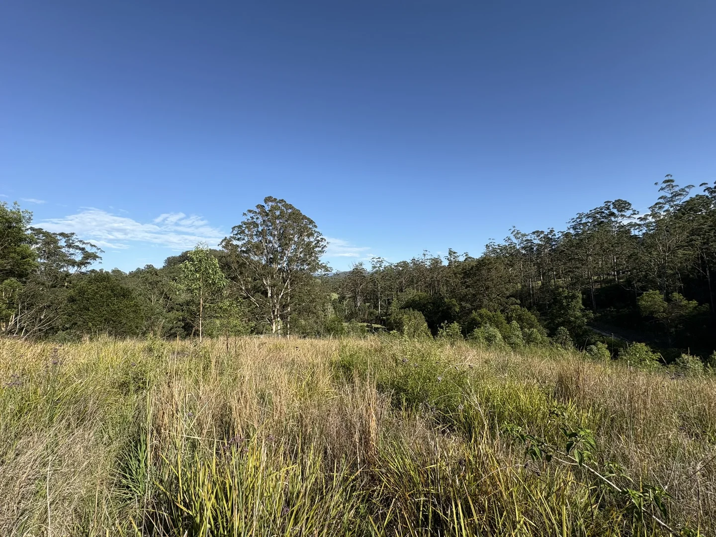 Additional image 3 of 211, 212 Robinson Road, Marlee NSW 2429