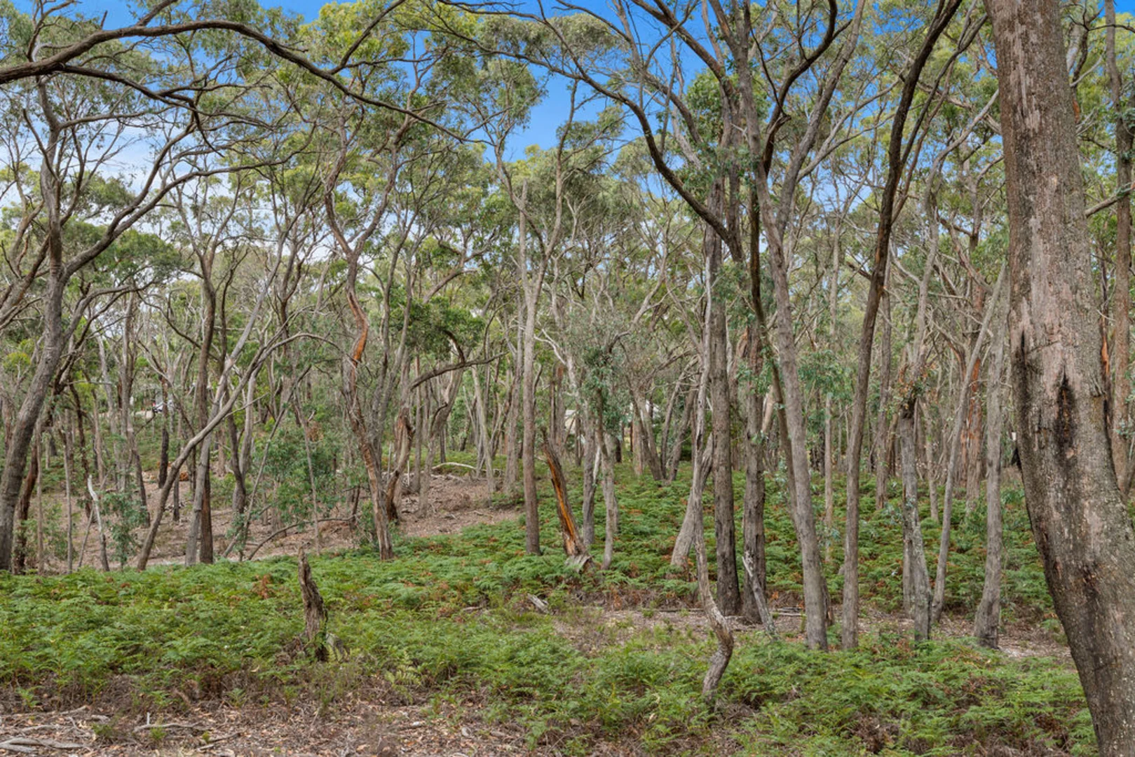 Additional image 18 of 210 Kookaburra Road, Lal Lal VIC 3352