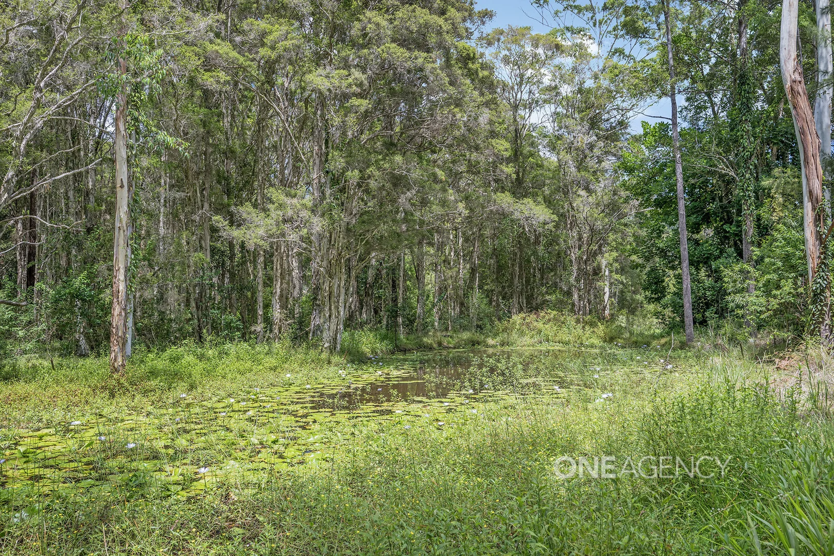 Additional image 22 of 162 Sarahs Crescent, King Creek NSW 2446