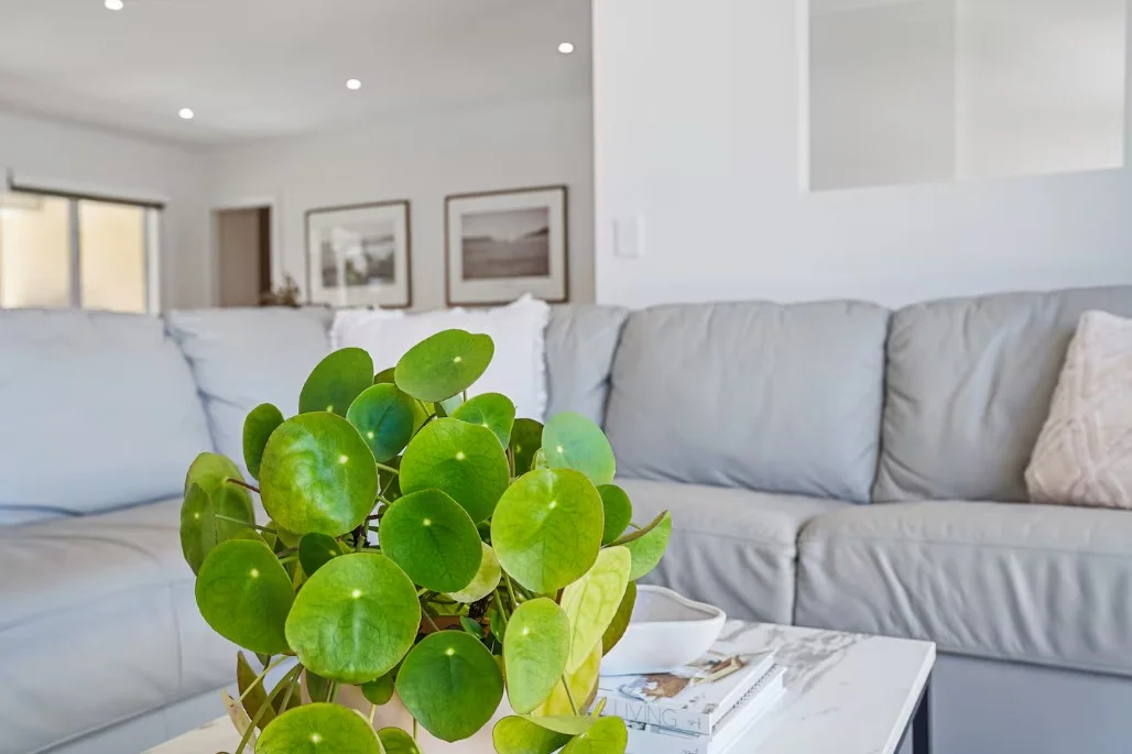 Additional image 10 of 8 Fishos Drive, Torquay VIC 3228