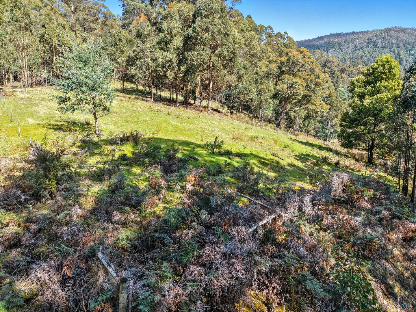 Additional image 7 of Lucaston TAS 7109