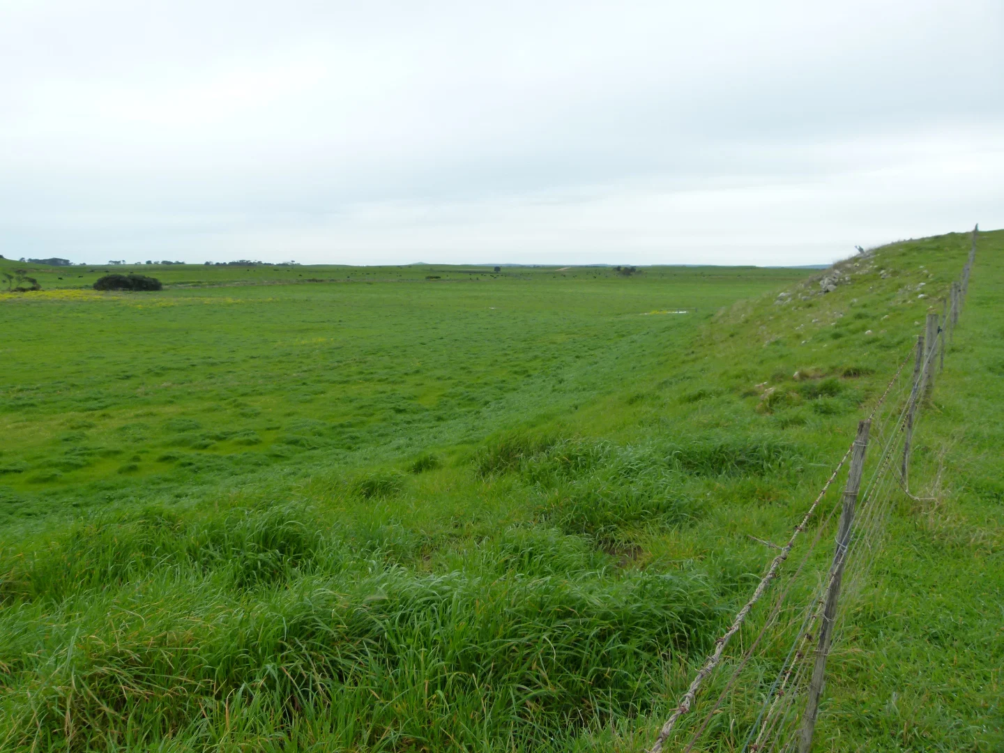 Additional image 6 of 1683 Canunda Frontage Road, Tantanoola SA 5280