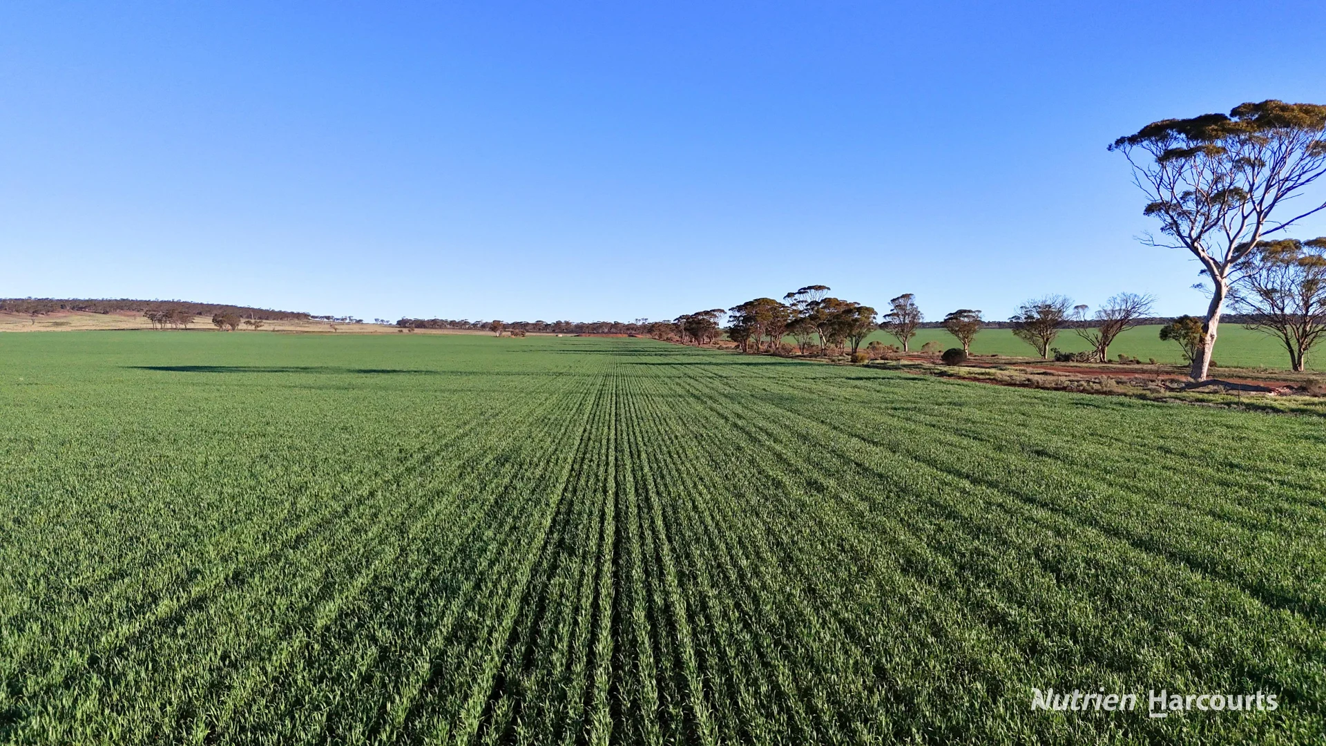 Additional image 5 of Lot 379 Garratt Road, Southern Cross WA 6426