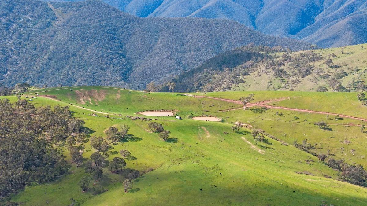 Additional image 8 of 914 Target Creek Road, Licola VIC 3858