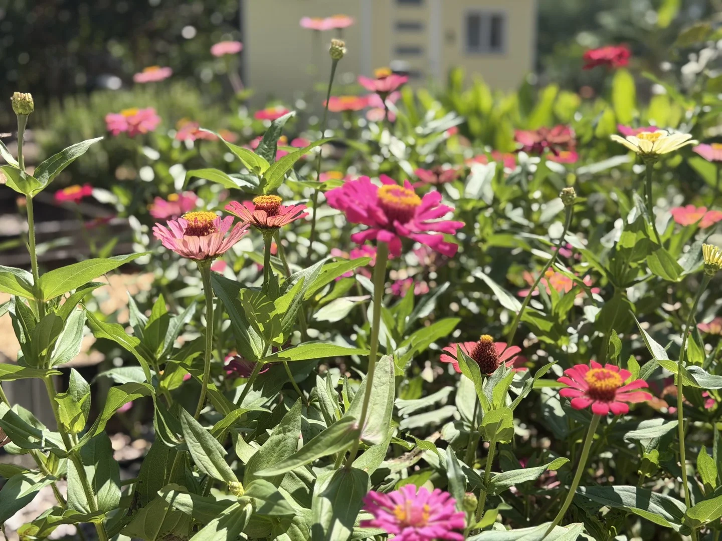 Additional image 3 of 37 Kardinia Street, Macleay Island QLD 4184