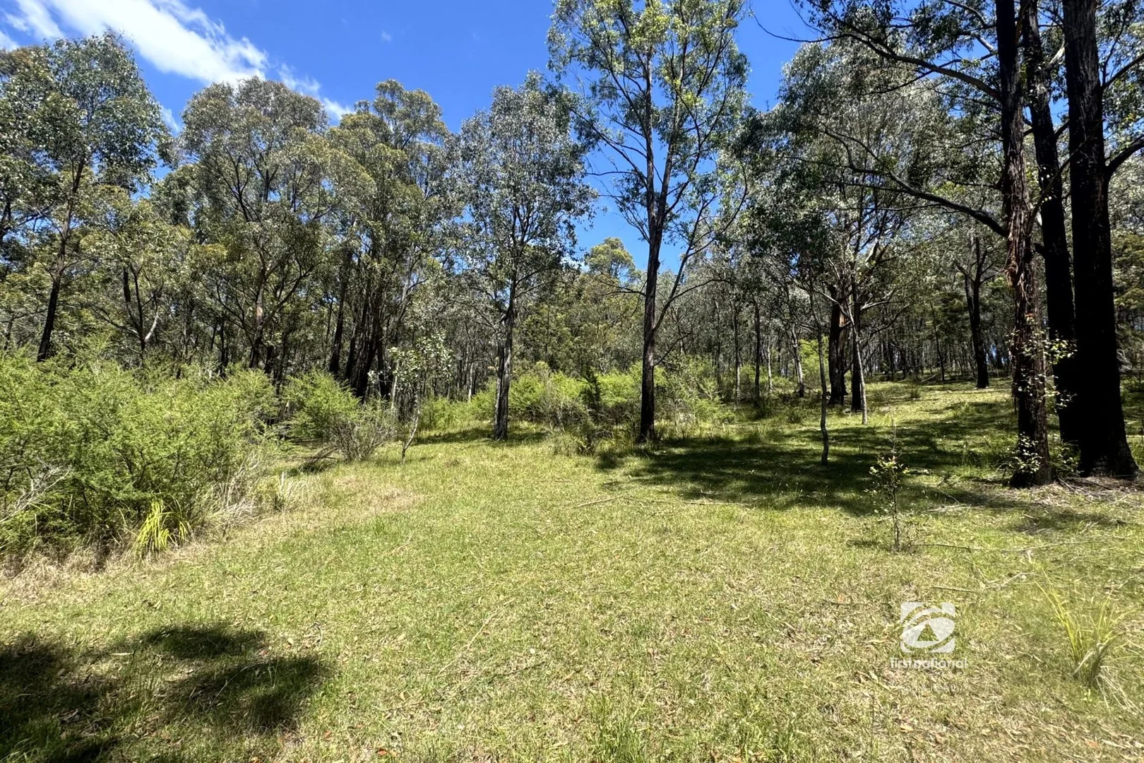 Additional image 14 of 139 Buchan South Road, Buchan South VIC 3885