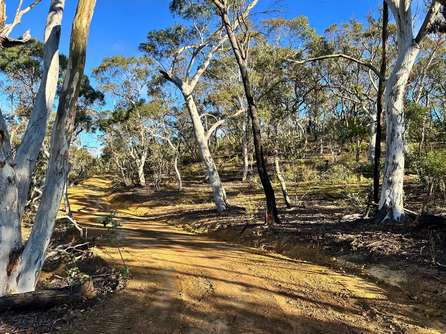Additional image 8 of 14 Ningee Nimbell Creek Road, Braidwood NSW 2622