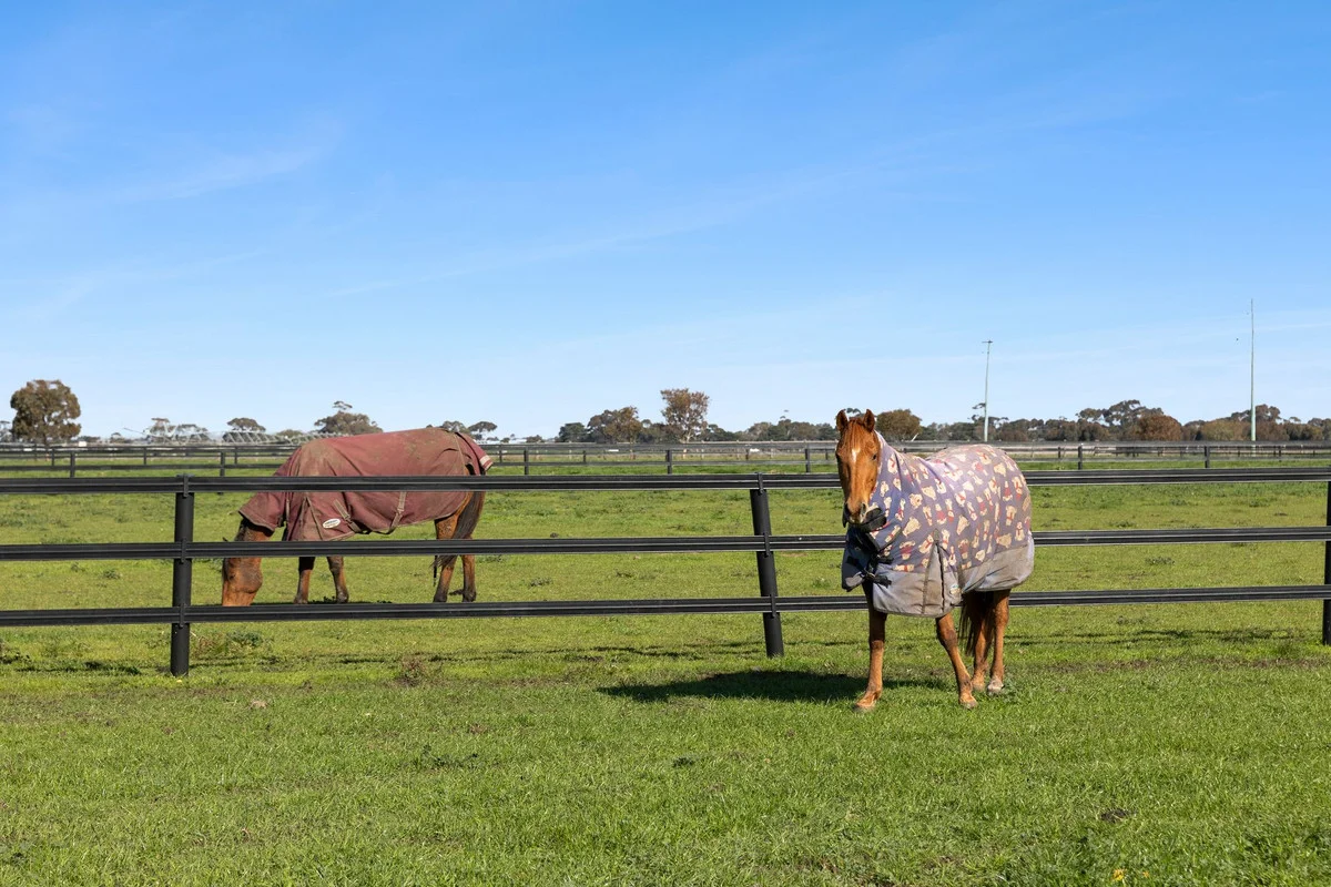 Additional image 26 of 166 Russell Road, Bannockburn VIC 3331