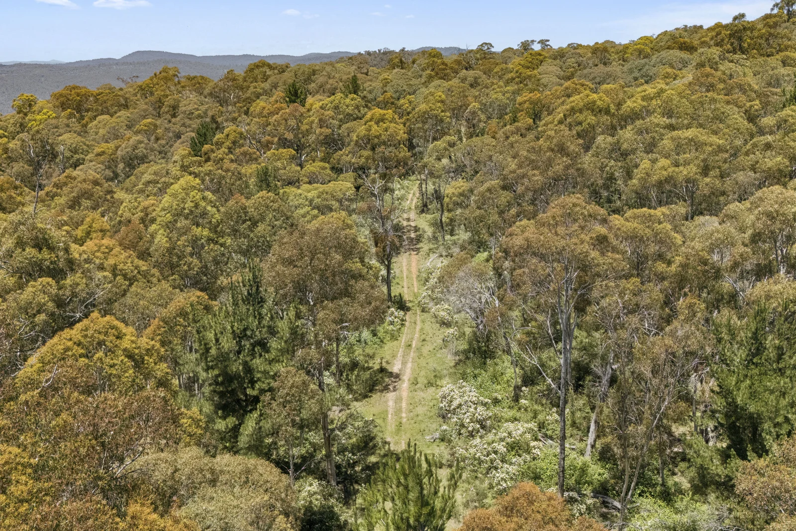 Additional image 24 of 321 Log Bridge Creek Road, Wee Jasper NSW 2582