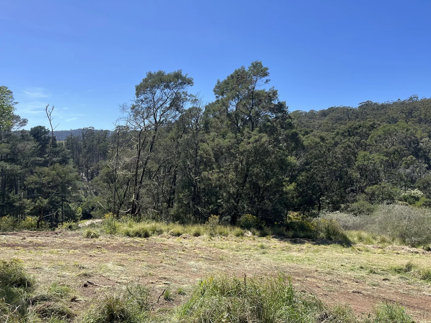 Additional image 8 of Lot 1122 Ruggs Road, Nethercote NSW 2549