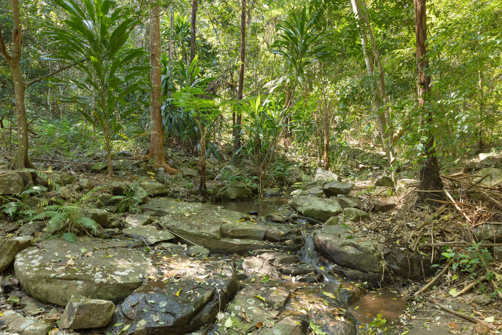 Additional image 3 of 124 Wenga Drive, Alstonvale NSW 2477