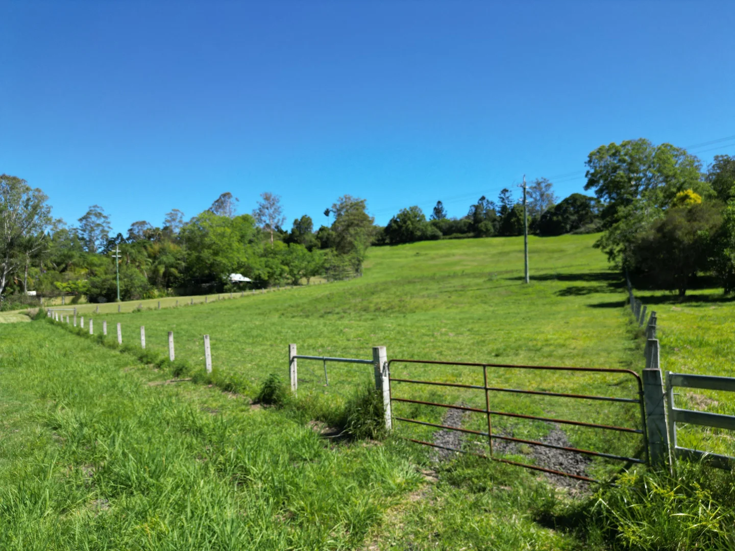 Additional image 16 of 504 Jiggi Road, Jiggi NSW 2480