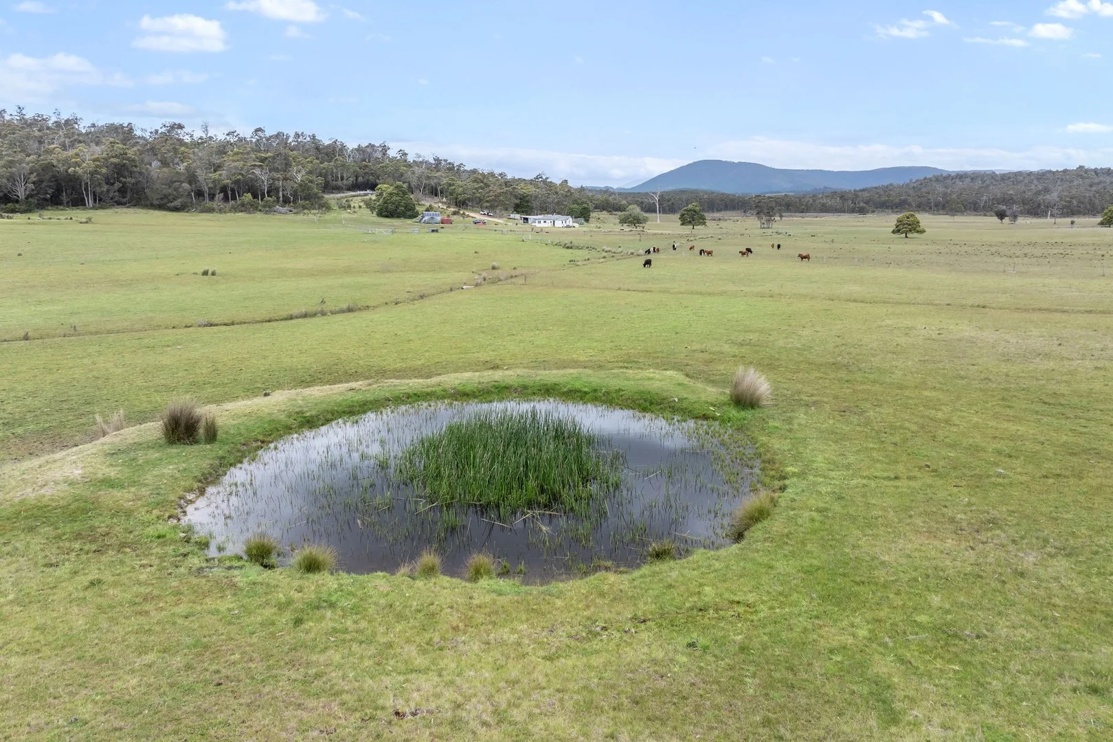 399 Ferny Hill Road, Golconda TAS 7254