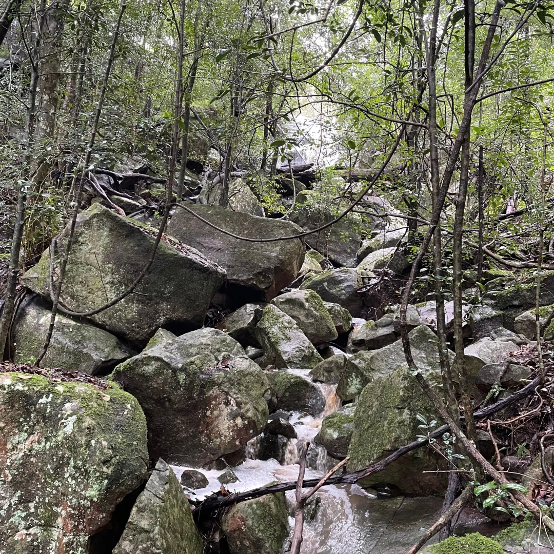 Additional image 6 of 1447 Gresford Road, Vacy NSW 2421