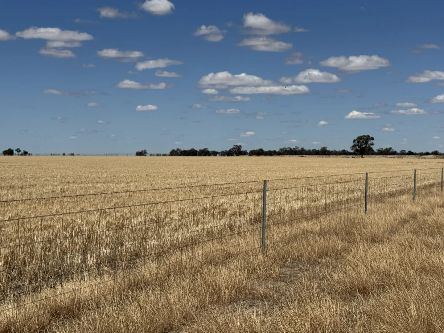 Additional image 31 of 300 Devon Road, Deniliquin NSW 2710